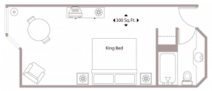 Floor Plan Standard One King