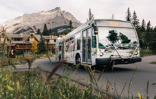 BANFF BUS PASSES