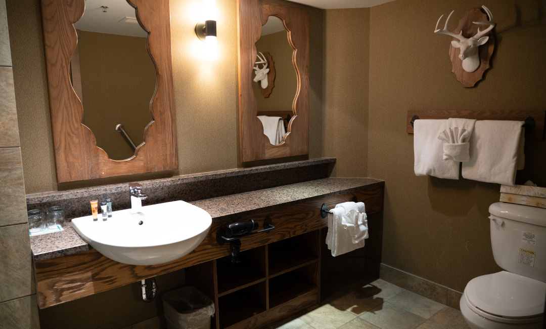 Superior Hotel Room Two Queens Accessible - Bathroom Sink Toilet